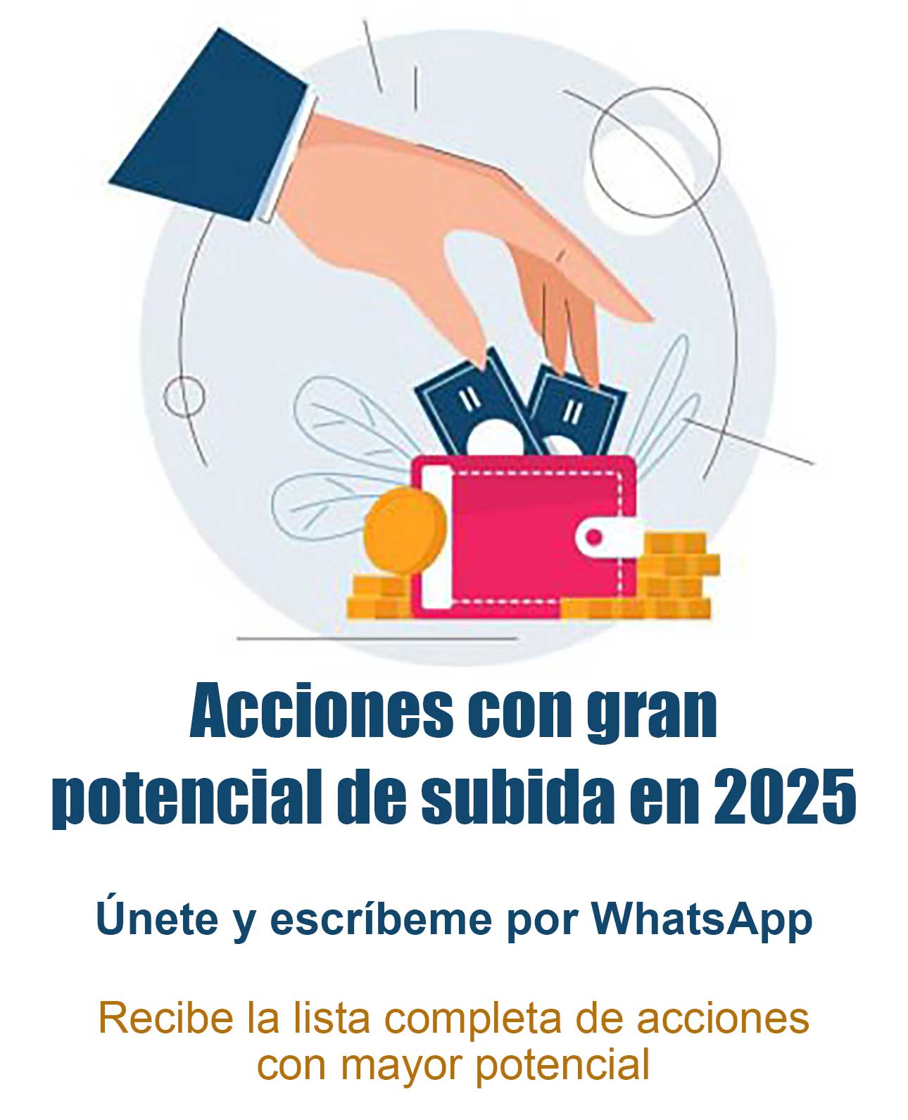 Material educativo sobre el mercado - Imagen 1